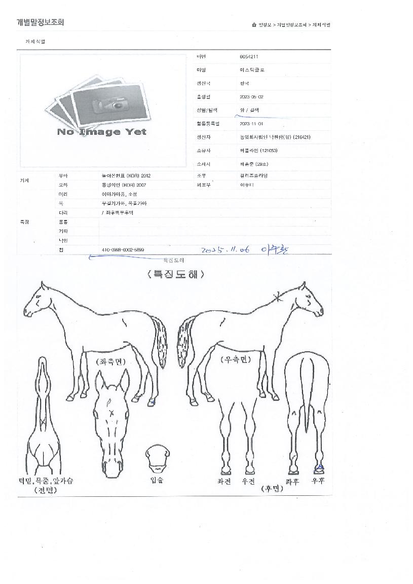 ¹Ì½ºÆ½±Û·ÎÀÇ Ãø¸é,¿ì¸é,µÞ¸é,µÎ»ó,´Ù¸®ÀÇ Æ¯Â¡µµÇØ