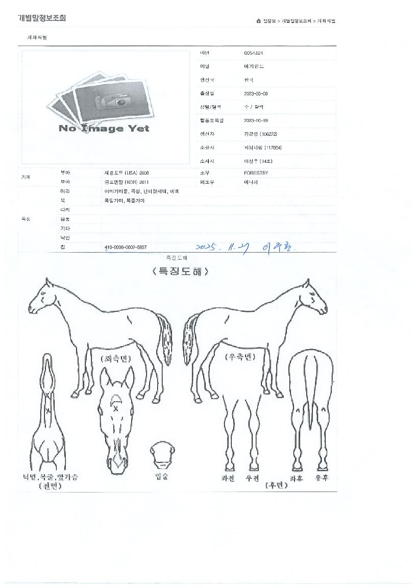 ¸Þ°¡À©µåÀÇ Ãø¸é,¿ì¸é,µÞ¸é,µÎ»ó,´Ù¸®ÀÇ Æ¯Â¡µµÇØ
