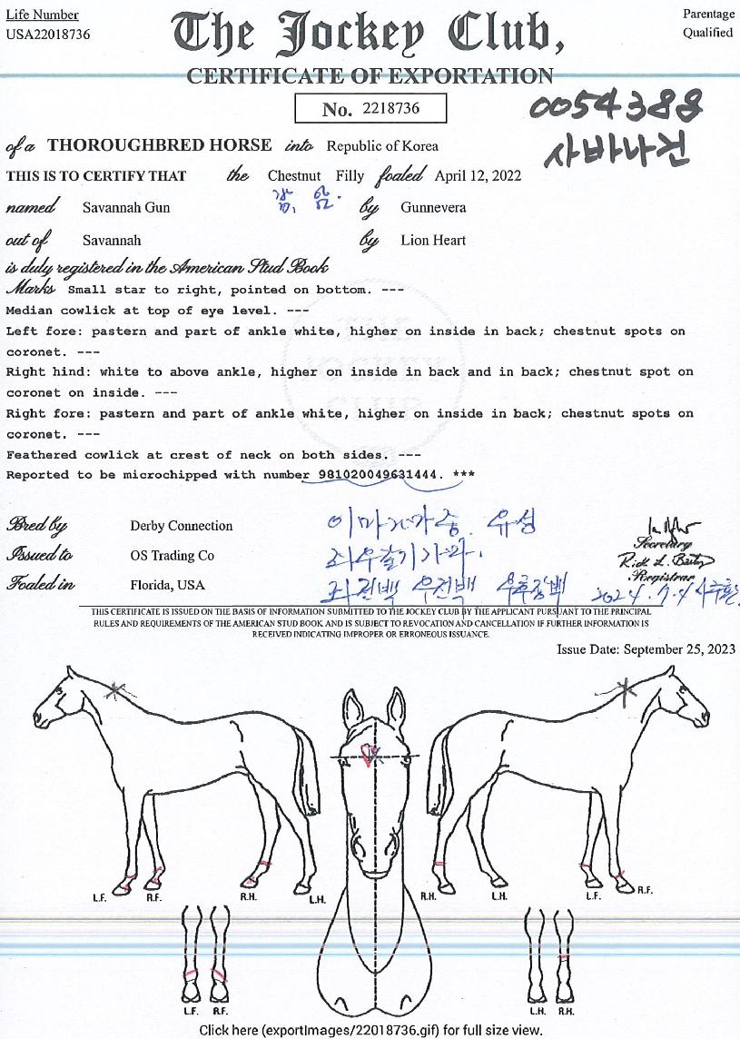 »ç¹Ù³ª°ÇÀÇ Ãø¸é,¿ì¸é,µÞ¸é,µÎ»ó,´Ù¸®ÀÇ Æ¯Â¡µµÇØ