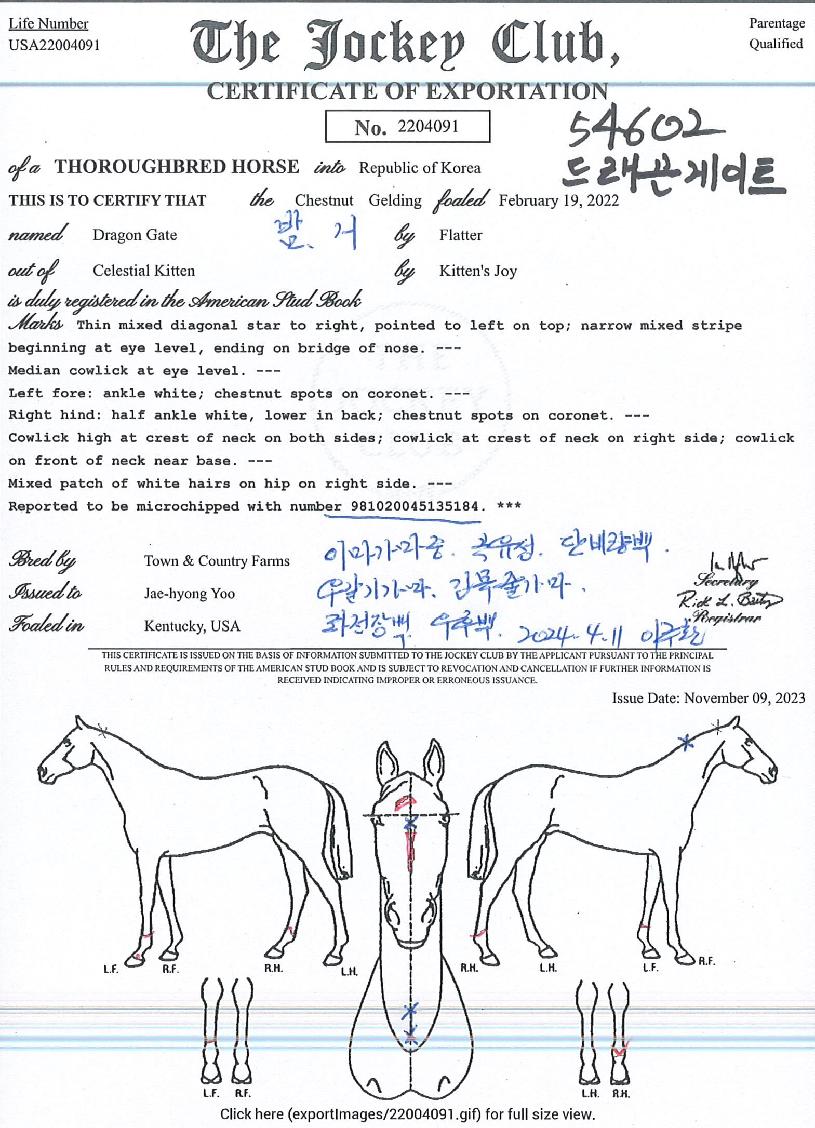 µå·¡°ï°ÔÀÌÆ®ÀÇ Ãø¸é,¿ì¸é,µÞ¸é,µÎ»ó,´Ù¸®ÀÇ Æ¯Â¡µµÇØ