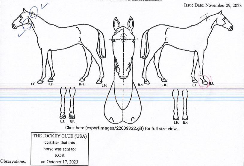 ¿¤µµ¶óµµÇس²ÀÇ Ãø¸é,¿ì¸é,µÞ¸é,µÎ»ó,´Ù¸®ÀÇ Æ¯Â¡µµÇØ