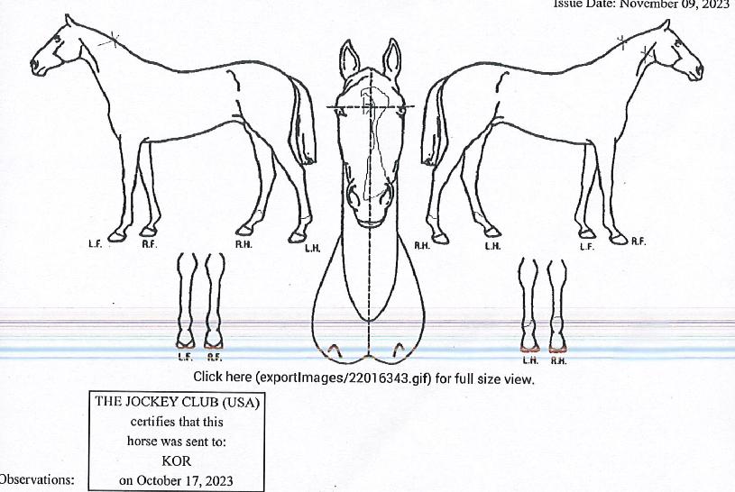 ¿¤µµ¶óµµ°³²ÀÇ Ãø¸é,¿ì¸é,µÞ¸é,µÎ»ó,´Ù¸®ÀÇ Æ¯Â¡µµÇØ