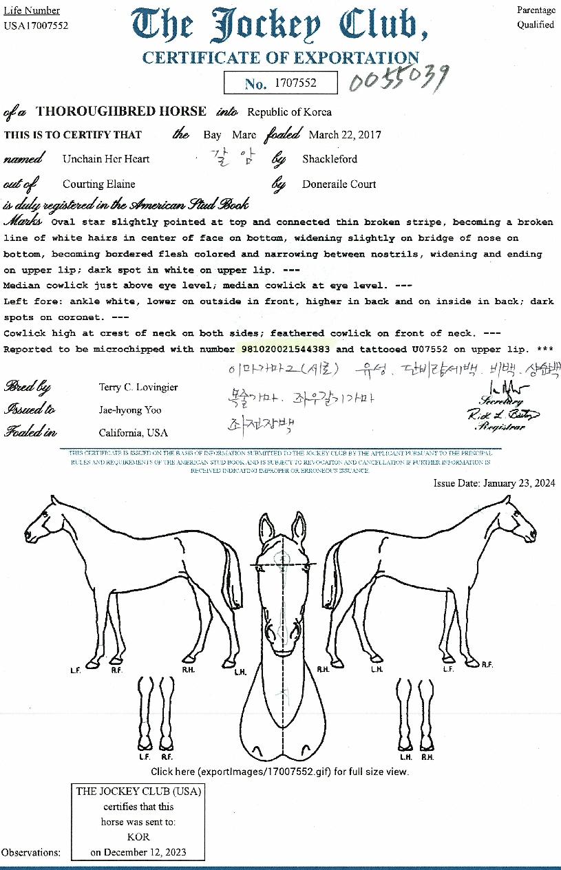 ¾ðüÀÎÇãÇÏÆ®ÀÇ Ãø¸é,¿ì¸é,µÞ¸é,µÎ»ó,´Ù¸®ÀÇ Æ¯Â¡µµÇØ