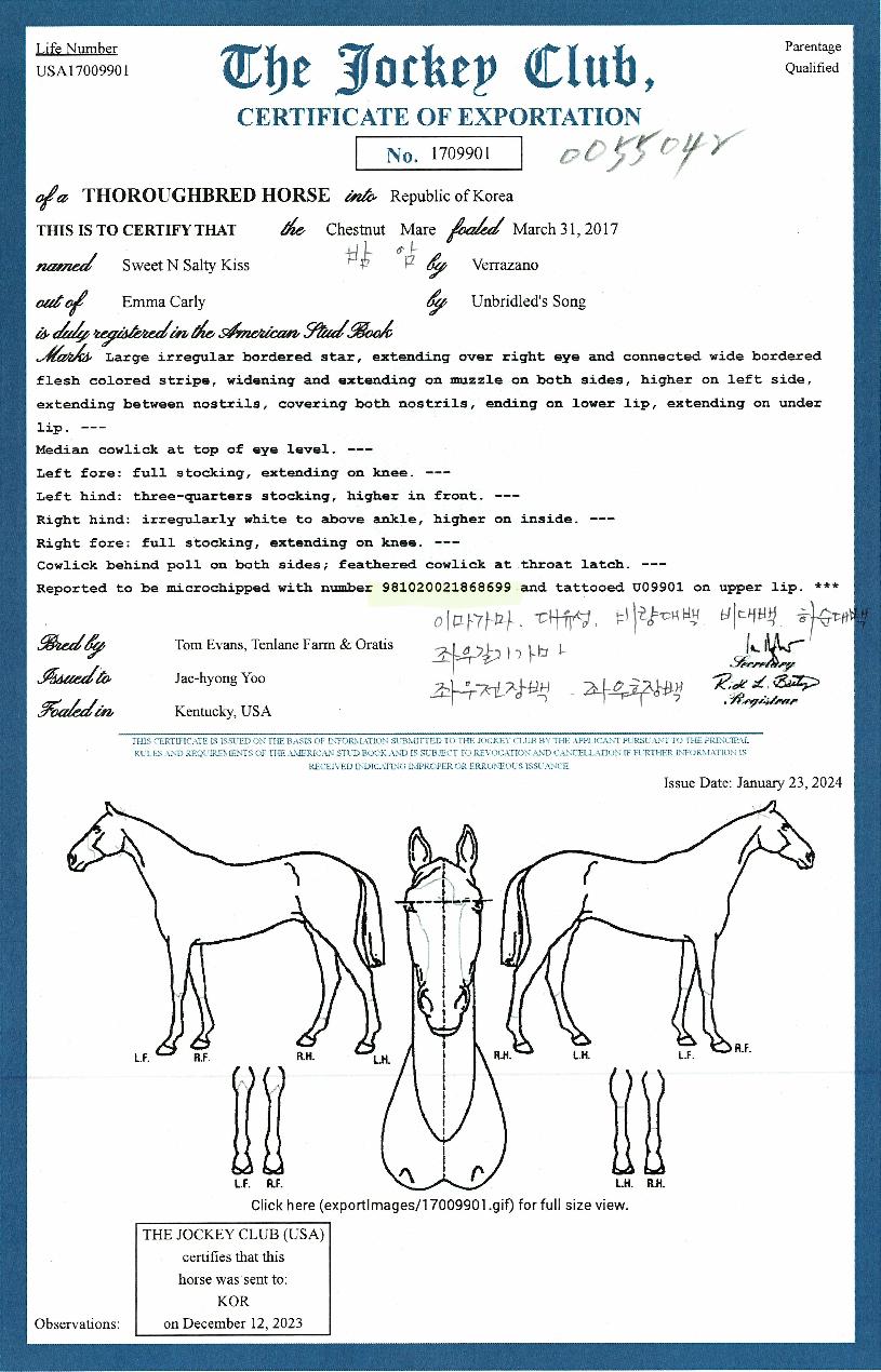 ½ºÀ§Æ®¾Ø¼ÖƼŰ½ºÀÇ Ãø¸é,¿ì¸é,µÞ¸é,µÎ»ó,´Ù¸®ÀÇ Æ¯Â¡µµÇØ