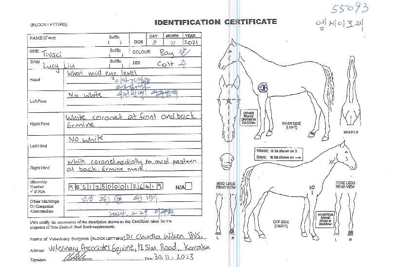 ¿¥ÄÉÀ̸ðÂîÀÇ Ãø¸é,¿ì¸é,µÞ¸é,µÎ»ó,´Ù¸®ÀÇ Æ¯Â¡µµÇØ