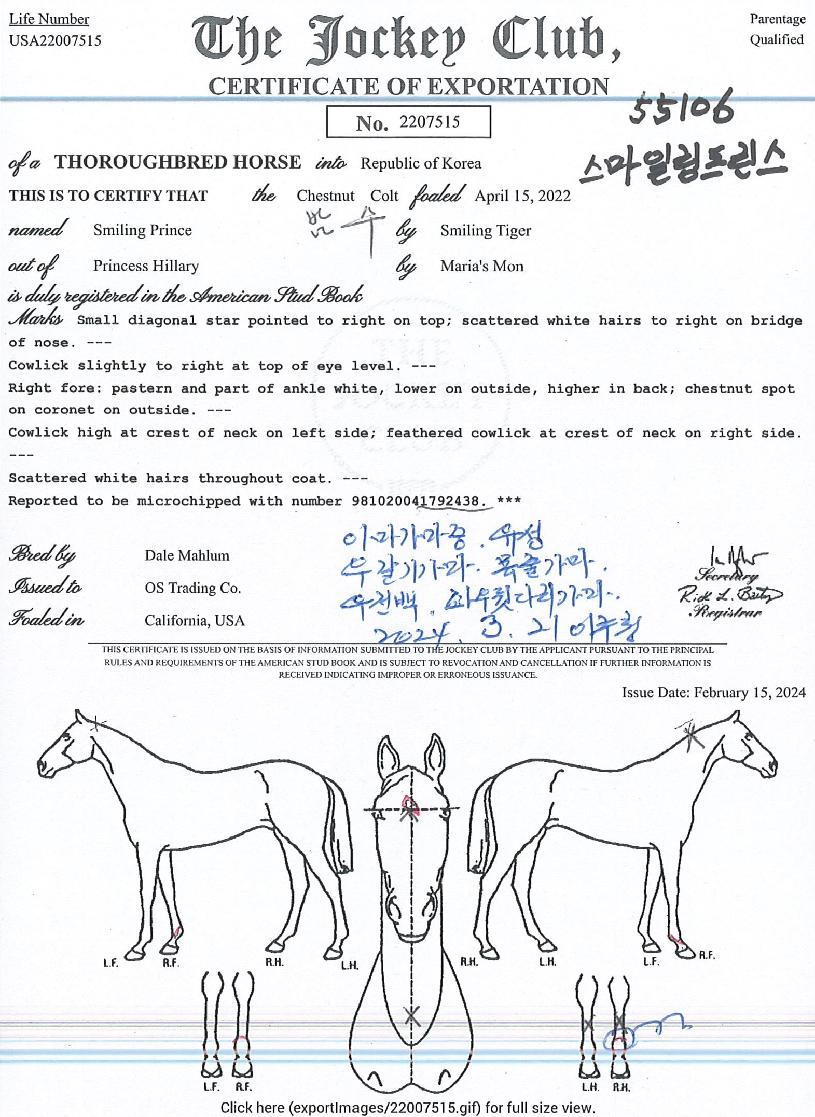 ½º¸¶ÀϸµÇÁ¸°½ºÀÇ Ãø¸é,¿ì¸é,µÞ¸é,µÎ»ó,´Ù¸®ÀÇ Æ¯Â¡µµÇØ