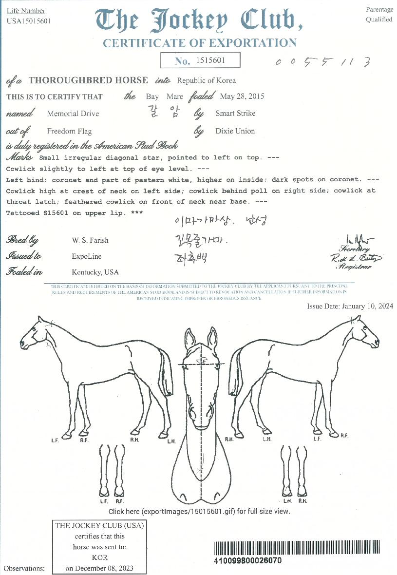 ¸Þ¸ð¸®¾óµå¶óÀ̺êÀÇ Ãø¸é,¿ì¸é,µÞ¸é,µÎ»ó,´Ù¸®ÀÇ Æ¯Â¡µµÇØ