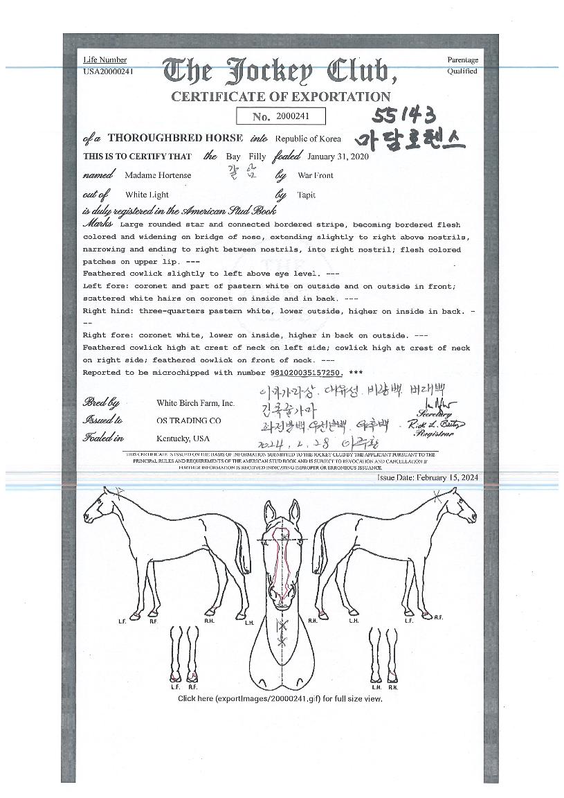 ¸¶´ãÈ£ÅÙ½ºÀÇ Ãø¸é,¿ì¸é,µÞ¸é,µÎ»ó,´Ù¸®ÀÇ Æ¯Â¡µµÇØ