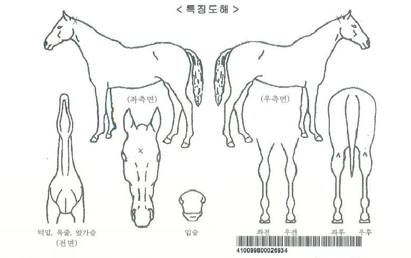 ½ºÆÄÀ̽º·ÏÀÚ¸¶ÀÇ Ãø¸é,¿ì¸é,µÞ¸é,µÎ»ó,´Ù¸®ÀÇ Æ¯Â¡µµÇØ