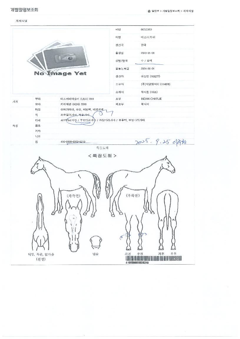 ¹Ì½ºÅÍÄ«ÀÌÀÇ Ãø¸é,¿ì¸é,µÞ¸é,µÎ»ó,´Ù¸®ÀÇ Æ¯Â¡µµÇØ