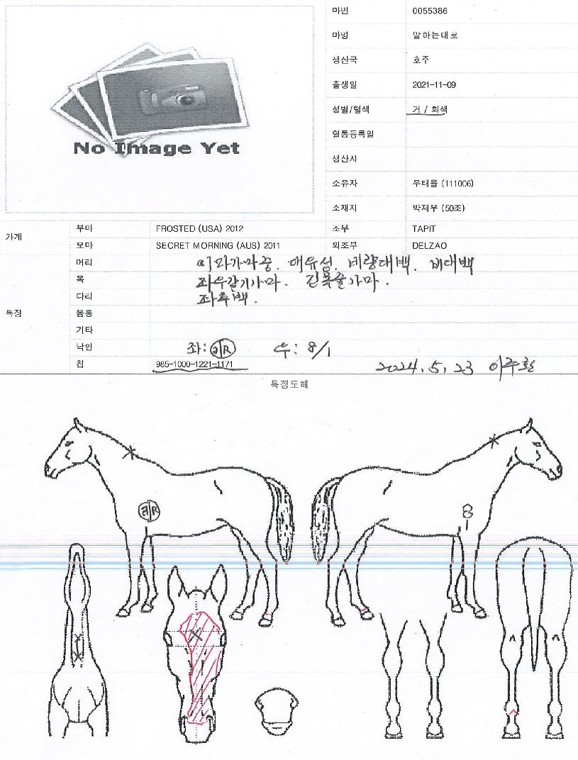 ¸»Çϴ´ë·ÎÀÇ Ãø¸é,¿ì¸é,µÞ¸é,µÎ»ó,´Ù¸®ÀÇ Æ¯Â¡µµÇØ