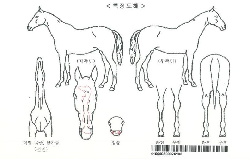 ¶óº¥´õÅ©¸®½ÃÀÚ¸¶ÀÇ Ãø¸é,¿ì¸é,µÞ¸é,µÎ»ó,´Ù¸®ÀÇ Æ¯Â¡µµÇØ