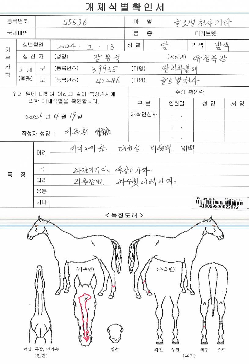 ±Û·Î¹úõ»çÀÚ¸¶ÀÇ Ãø¸é,¿ì¸é,µÞ¸é,µÎ»ó,´Ù¸®ÀÇ Æ¯Â¡µµÇØ