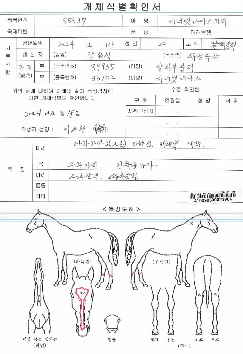 µð³Ê¾Ü³ª³ª½ºÀÚ¸¶ÀÇ Ãø¸é,¿ì¸é,µÞ¸é,µÎ»ó,´Ù¸®ÀÇ Æ¯Â¡µµÇØ