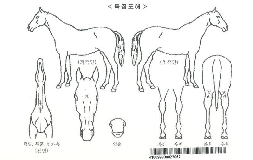 ½½¸®ÇÁ¸®½ºÀÚ¸¶ÀÇ Ãø¸é,¿ì¸é,µÞ¸é,µÎ»ó,´Ù¸®ÀÇ Æ¯Â¡µµÇØ