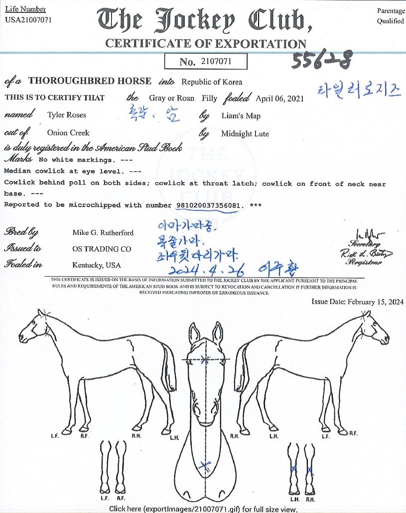 ŸÀÏ·¯·ÎÁöÁîÀÇ Ãø¸é,¿ì¸é,µÞ¸é,µÎ»ó,´Ù¸®ÀÇ Æ¯Â¡µµÇØ