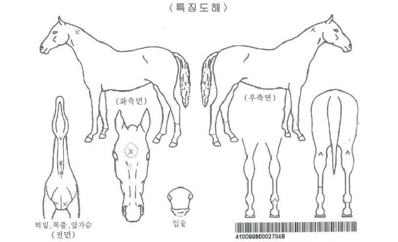 ½ºÆ¼Å¬·¯ÀÚ¸¶ÀÇ Ãø¸é,¿ì¸é,µÞ¸é,µÎ»ó,´Ù¸®ÀÇ Æ¯Â¡µµÇØ