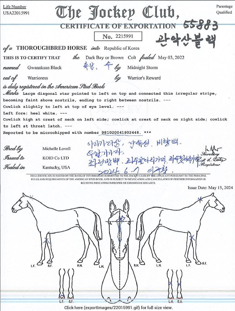 °ü¾Ç»êºí·¢ÀÇ Ãø¸é,¿ì¸é,µÞ¸é,µÎ»ó,´Ù¸®ÀÇ Æ¯Â¡µµÇØ