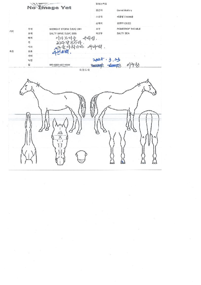 ¿ùµåÇÇÇÃÀÇ Ãø¸é,¿ì¸é,µÞ¸é,µÎ»ó,´Ù¸®ÀÇ Æ¯Â¡µµÇØ