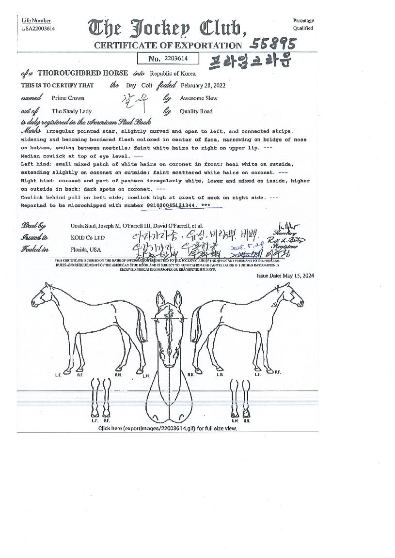 ÇÁ¶óÀÓÅ©¶ó¿îÀÇ Ãø¸é,¿ì¸é,µÞ¸é,µÎ»ó,´Ù¸®ÀÇ Æ¯Â¡µµÇØ