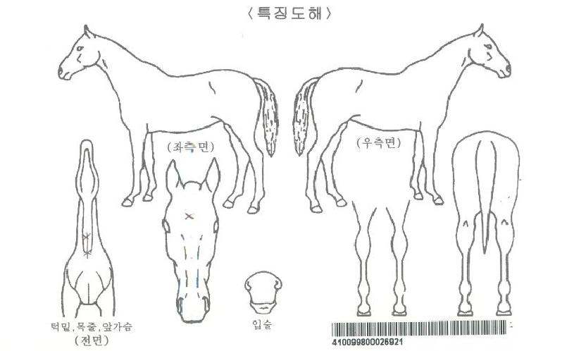 ±×¸°´Ù¸£Å©ÀÚ¸¶ÀÇ Ãø¸é,¿ì¸é,µÞ¸é,µÎ»ó,´Ù¸®ÀÇ Æ¯Â¡µµÇØ