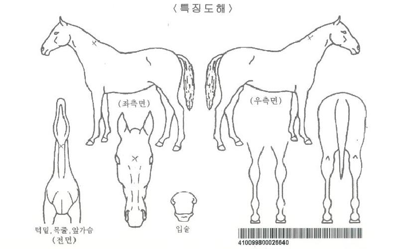 ¼Å¬´í¼ÀÚ¸¶ÀÇ Ãø¸é,¿ì¸é,µÞ¸é,µÎ»ó,´Ù¸®ÀÇ Æ¯Â¡µµÇØ