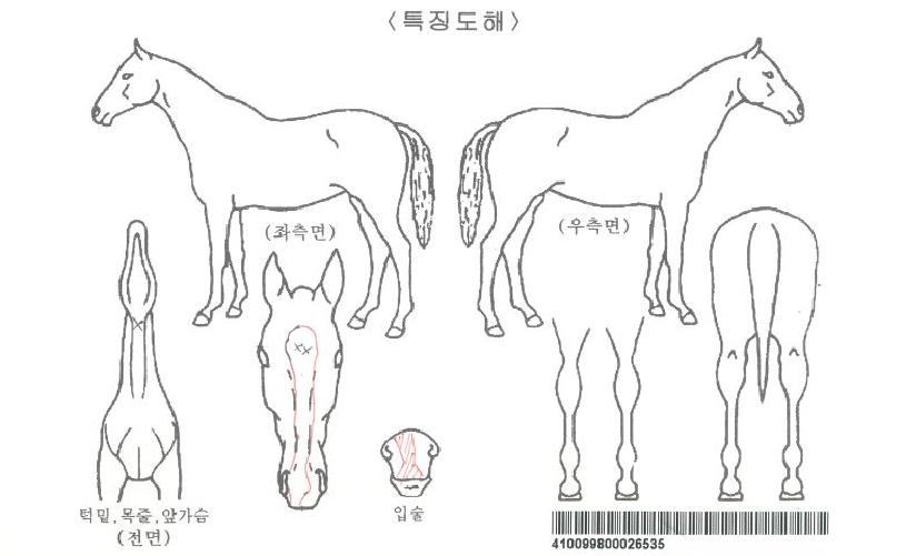 Á¤µç·ÎÀÚ¸¶ÀÇ Ãø¸é,¿ì¸é,µÞ¸é,µÎ»ó,´Ù¸®ÀÇ Æ¯Â¡µµÇØ