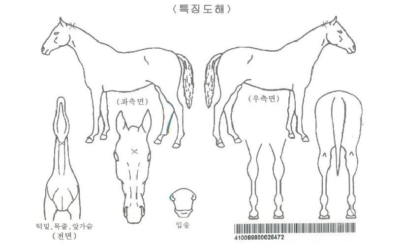 ¸ù±Û¸ù±ÛÀÚ¸¶ÀÇ Ãø¸é,¿ì¸é,µÞ¸é,µÎ»ó,´Ù¸®ÀÇ Æ¯Â¡µµÇØ