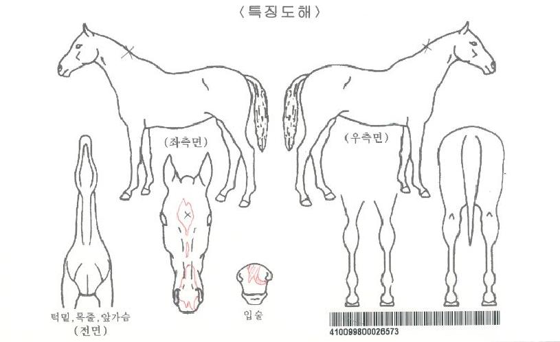 Á¦ÀÌÁ¦¸£Ã÷ÀÚ¸¶ÀÇ Ãø¸é,¿ì¸é,µÞ¸é,µÎ»ó,´Ù¸®ÀÇ Æ¯Â¡µµÇØ