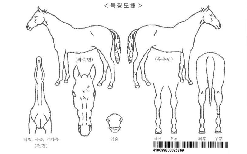 ÆÐ¸®½ºÄý¥±ÀÚ¸¶ÀÇ Ãø¸é,¿ì¸é,µÞ¸é,µÎ»ó,´Ù¸®ÀÇ Æ¯Â¡µµÇØ