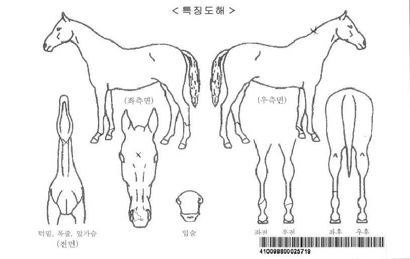 ±Ýºû´ë·ÎÀÇ Ãø¸é,¿ì¸é,µÞ¸é,µÎ»ó,´Ù¸®ÀÇ Æ¯Â¡µµÇØ