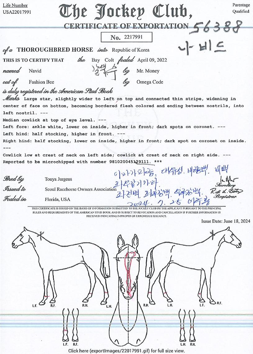 ³ªºñµåÀÇ Ãø¸é,¿ì¸é,µÞ¸é,µÎ»ó,´Ù¸®ÀÇ Æ¯Â¡µµÇØ