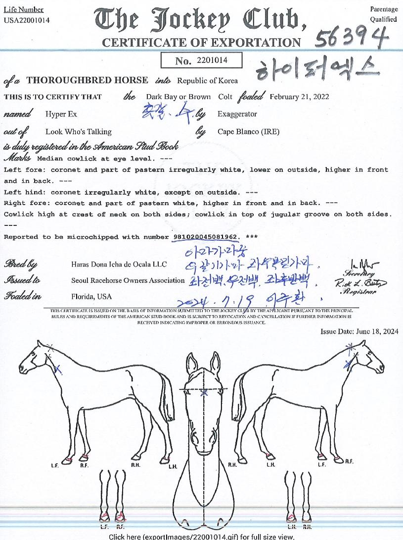 ÇÏÀÌÆÛ¿¢½ºÀÇ Ãø¸é,¿ì¸é,µÞ¸é,µÎ»ó,´Ù¸®ÀÇ Æ¯Â¡µµÇØ