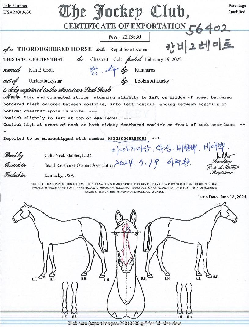 ĺñ±×·¹ÀÌÆ®ÀÇ Ãø¸é,¿ì¸é,µÞ¸é,µÎ»ó,´Ù¸®ÀÇ Æ¯Â¡µµÇØ