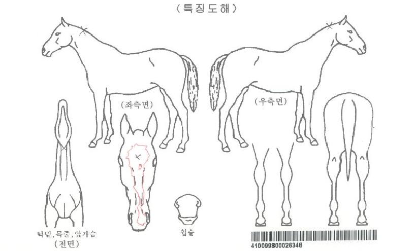 ½ºÀ§Æ®¿¡½ºÇÁ¸®ÀÚ¸¶ÀÇ Ãø¸é,¿ì¸é,µÞ¸é,µÎ»ó,´Ù¸®ÀÇ Æ¯Â¡µµÇØ