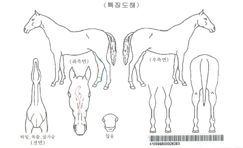 ¾÷Á¡ÇÁµå´õµ¥ºíÀÚ¸¶ÀÇ Ãø¸é,¿ì¸é,µÞ¸é,µÎ»ó,´Ù¸®ÀÇ Æ¯Â¡µµÇØ