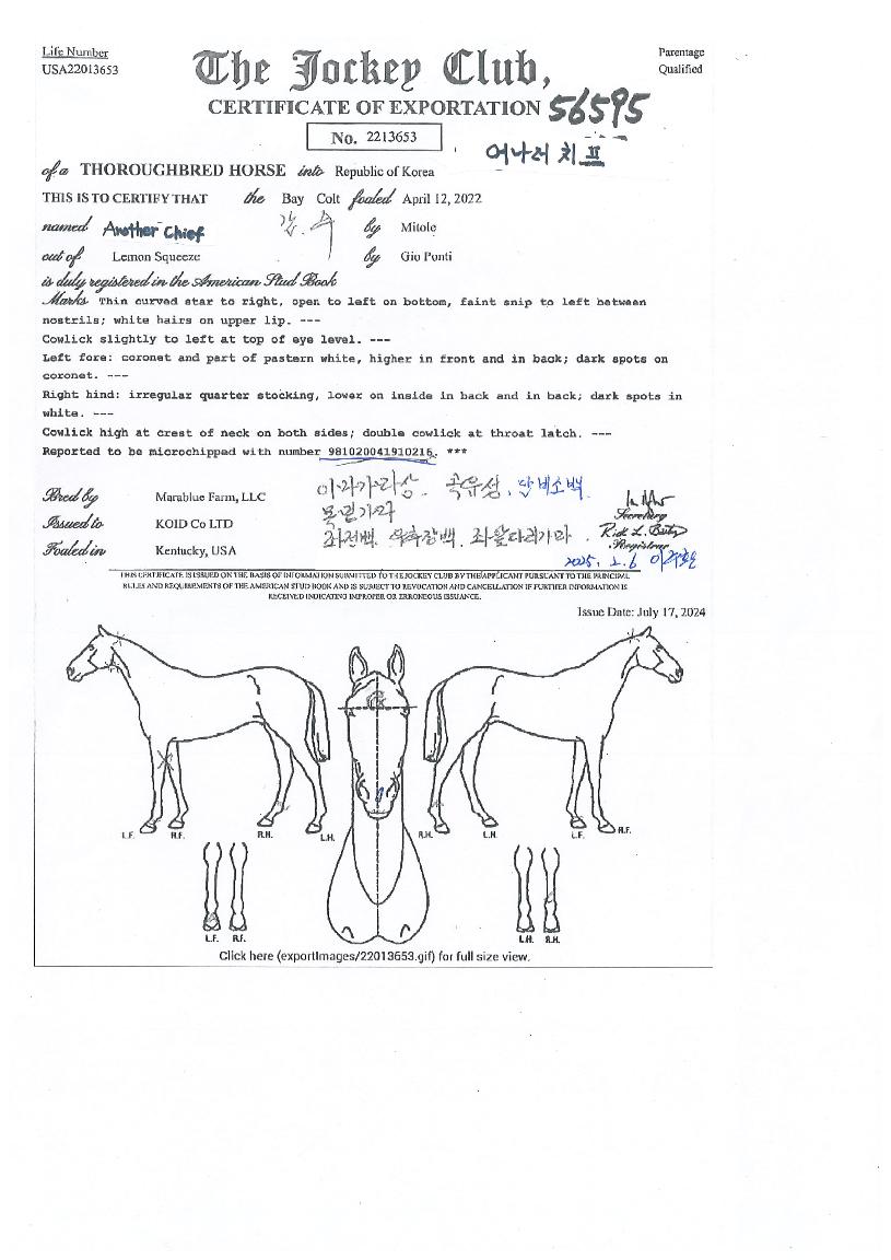 ¾î³ª´õÄ¡ÇÁÀÇ Ãø¸é,¿ì¸é,µÞ¸é,µÎ»ó,´Ù¸®ÀÇ Æ¯Â¡µµÇØ