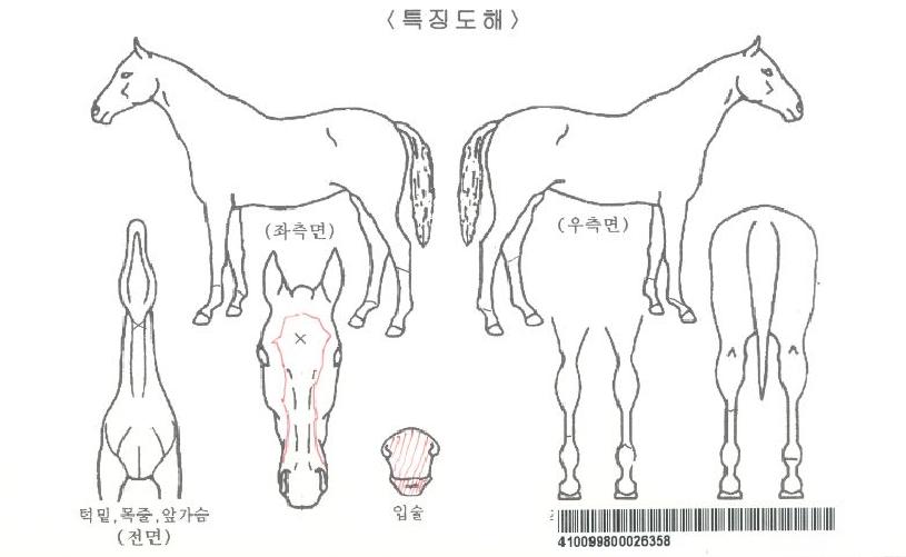 ¹Ì·¯Å¥·¯½º¸Þ´ÞÀÚ¸¶ÀÇ Ãø¸é,¿ì¸é,µÞ¸é,µÎ»ó,´Ù¸®ÀÇ Æ¯Â¡µµÇØ