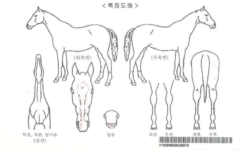 ¼º½Ç¼¼»óÀÇ Ãø¸é,¿ì¸é,µÞ¸é,µÎ»ó,´Ù¸®ÀÇ Æ¯Â¡µµÇØ