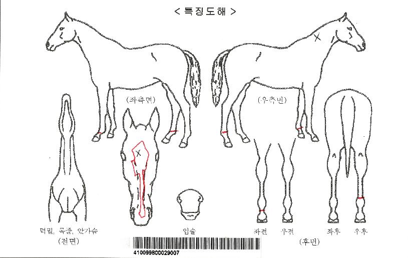 Å¥Çǵå°ñµåÀÇ Ãø¸é,¿ì¸é,µÞ¸é,µÎ»ó,´Ù¸®ÀÇ Æ¯Â¡µµÇØ