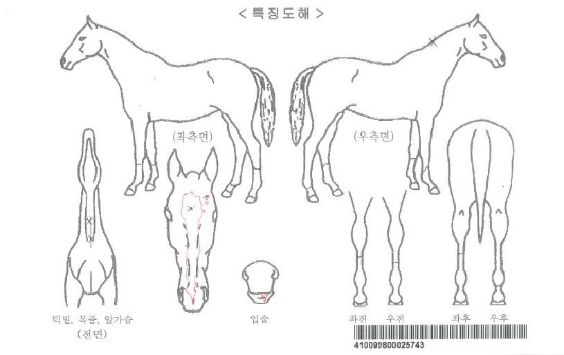 Æ÷Æ®·¹ÀÌÀÚ¸¶ÀÇ Ãø¸é,¿ì¸é,µÞ¸é,µÎ»ó,´Ù¸®ÀÇ Æ¯Â¡µµÇØ