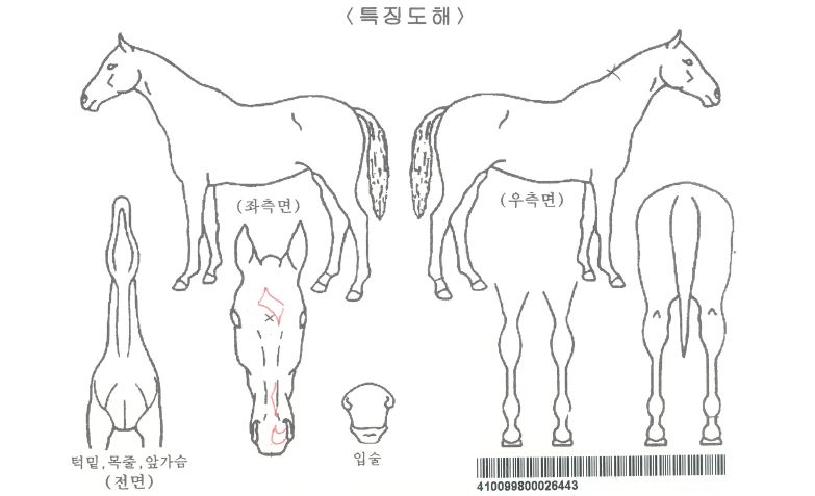 õ»ç¹ÚÀÚ¸¶ÀÇ Ãø¸é,¿ì¸é,µÞ¸é,µÎ»ó,´Ù¸®ÀÇ Æ¯Â¡µµÇØ