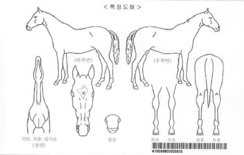 ºí·çij½½ÀÚ¸¶ÀÇ Ãø¸é,¿ì¸é,µÞ¸é,µÎ»ó,´Ù¸®ÀÇ Æ¯Â¡µµÇØ