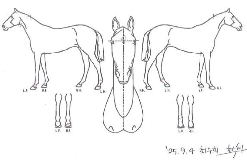 ¸¶ÀÌÆ¼ºí¸®½ºÀÇ Ãø¸é,¿ì¸é,µÞ¸é,µÎ»ó,´Ù¸®ÀÇ Æ¯Â¡µµÇØ