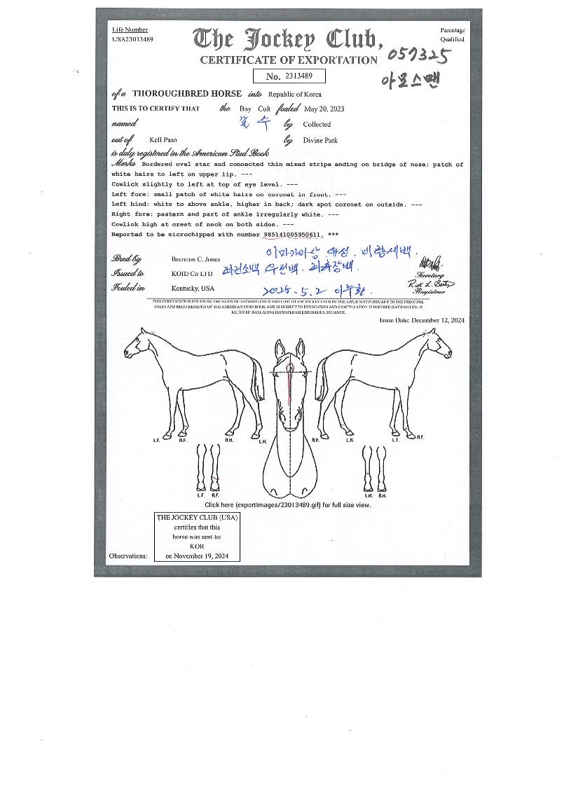 ¾Æ¸ð½º¸ÇÀÇ Ãø¸é,¿ì¸é,µÞ¸é,µÎ»ó,´Ù¸®ÀÇ Æ¯Â¡µµÇØ