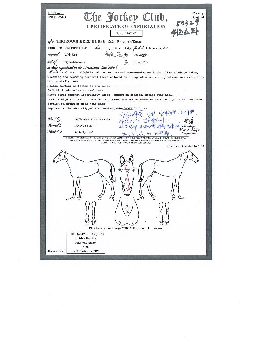 À§ÁŸÀÇ Ãø¸é,¿ì¸é,µÞ¸é,µÎ»ó,´Ù¸®ÀÇ Æ¯Â¡µµÇØ