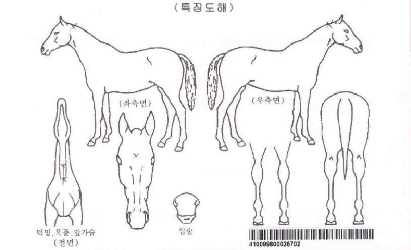 ´Ù¿ÂÇåÅÍÀÇ Ãø¸é,¿ì¸é,µÞ¸é,µÎ»ó,´Ù¸®ÀÇ Æ¯Â¡µµÇØ