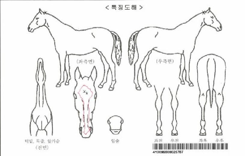 ¸ÅÁ÷ÆäÀÎÅÍÀÚ¸¶ÀÇ Ãø¸é,¿ì¸é,µÞ¸é,µÎ»ó,´Ù¸®ÀÇ Æ¯Â¡µµÇØ