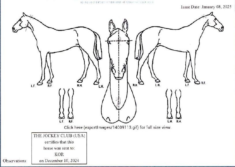 ¼¼ÀÎÆ®¸ÞÀÎÀ̺¥Æ®ÀÇ Ãø¸é,¿ì¸é,µÞ¸é,µÎ»ó,´Ù¸®ÀÇ Æ¯Â¡µµÇØ