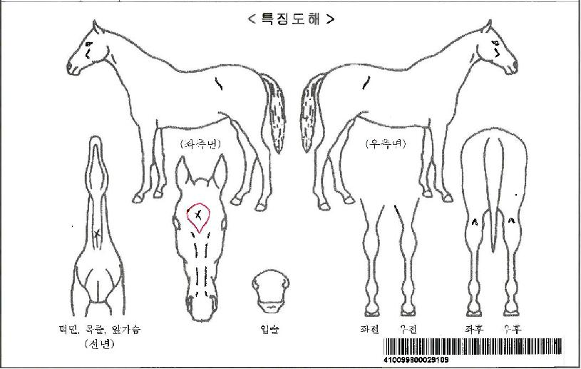 ÅÛÇÃÅ×À̼ÇÀÚ¸¶ÀÇ Ãø¸é,¿ì¸é,µÞ¸é,µÎ»ó,´Ù¸®ÀÇ Æ¯Â¡µµÇØ